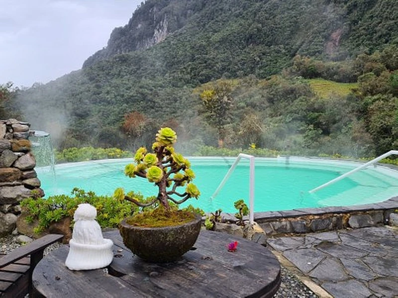 Image of Hotel Termales Del Ruiz