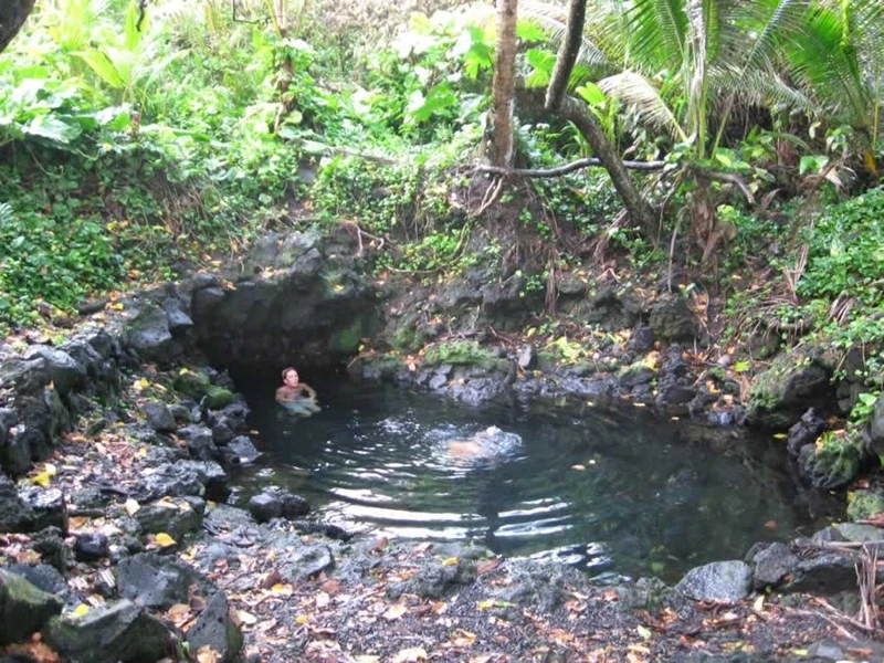 Image of Pohoiki Bay and Hot Spring